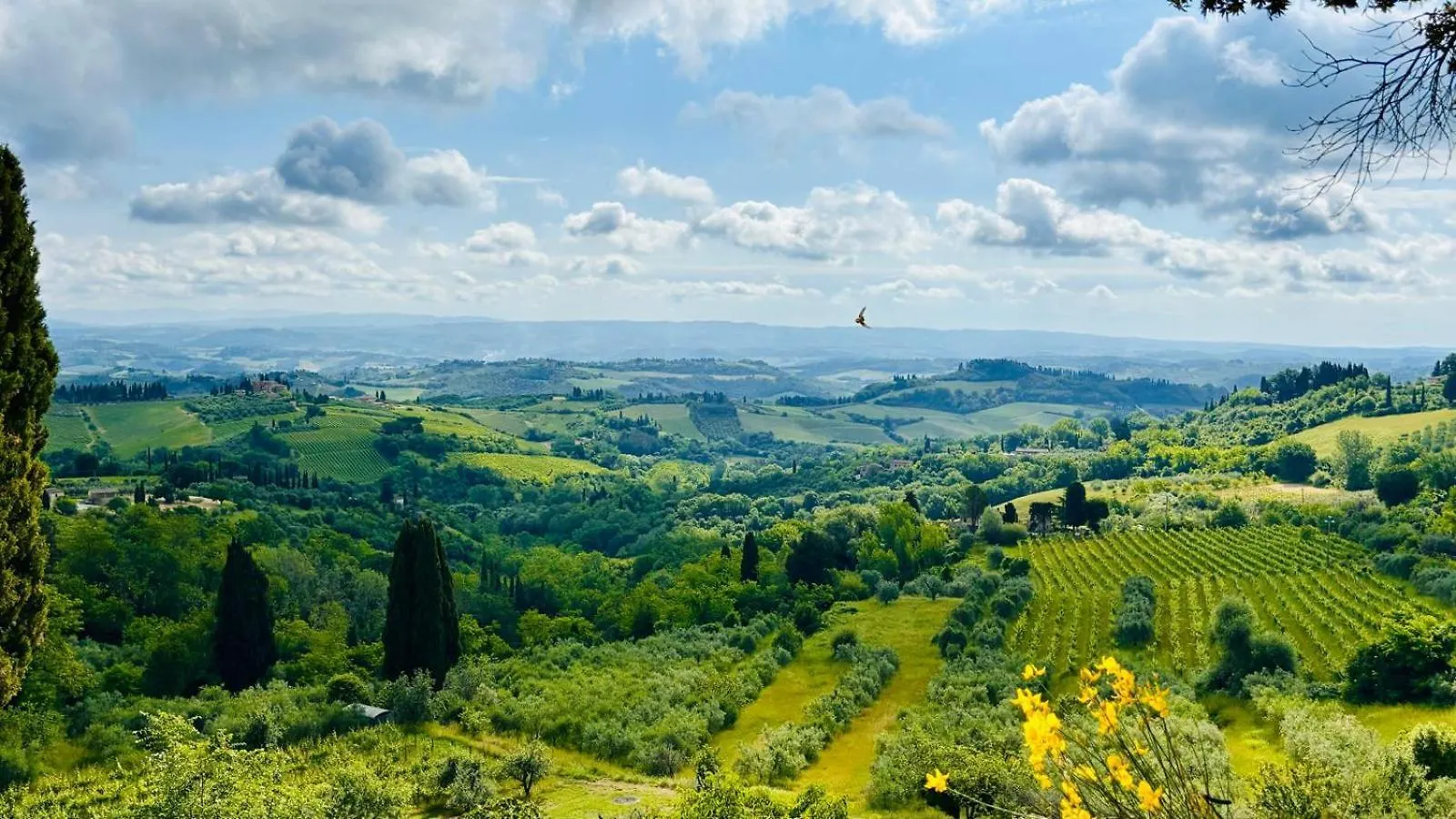 Fabio Apartments San Gimignano